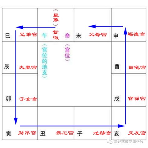 紫微斗數疾厄宮|紫微十二宮之疾厄宮